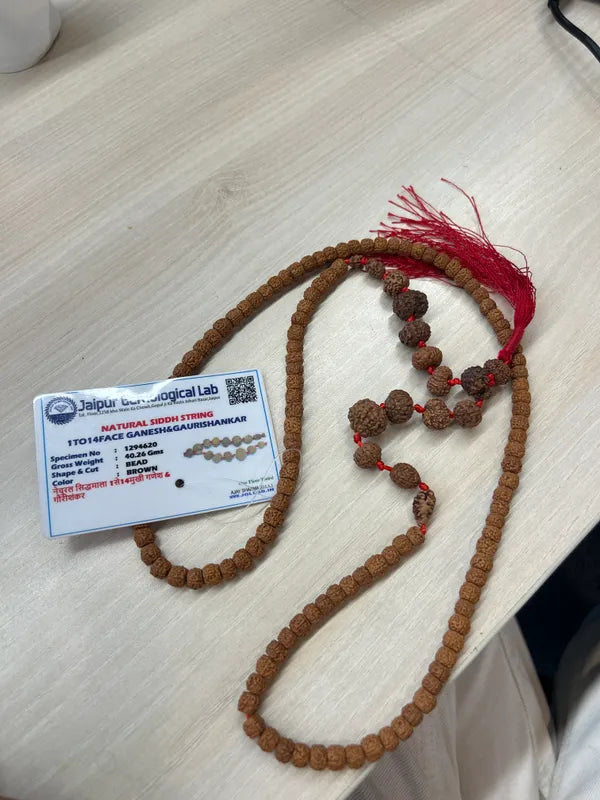 Neelima