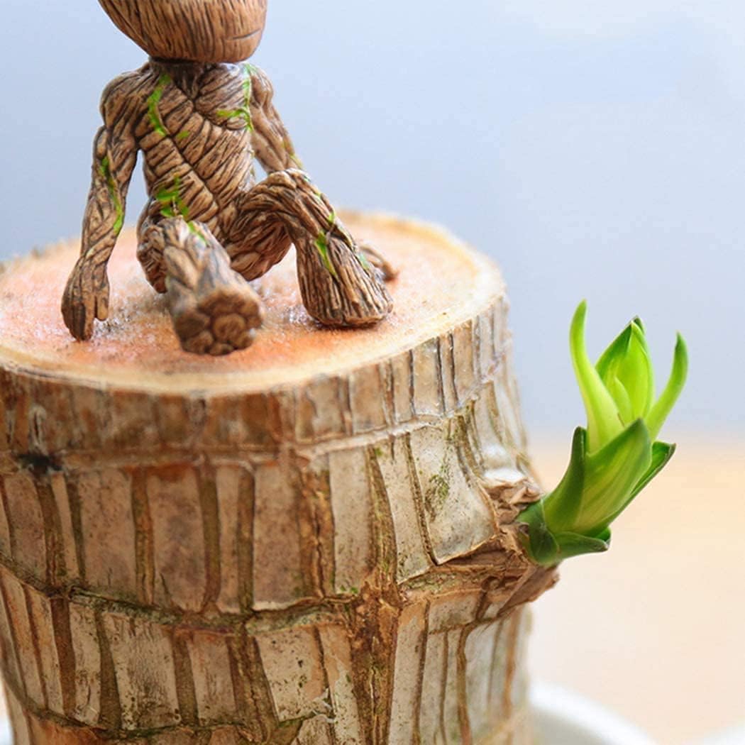 Lucky Brazilian Wood – Symbol of Prosperity and Abundance
