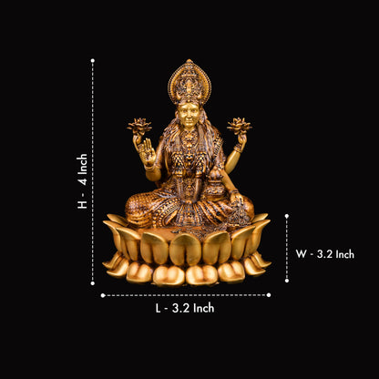 Dhanalaxmi Murti Car dashboard