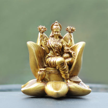 Padma Laxmi Car Dashboard